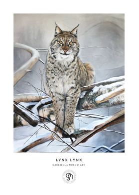 Lokatten - Lynx Lynx